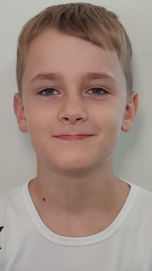 Šipek Leon